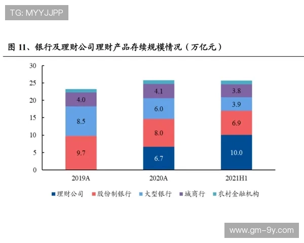 深度聚焦奥地利乙级联赛新赛季竞争格局与球队动态全景解析趋势