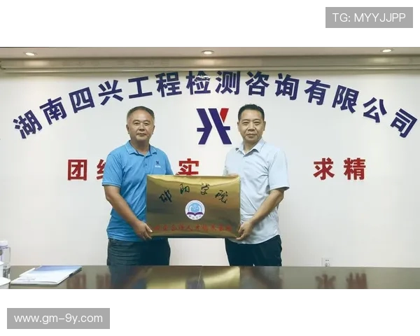 盐城市全民参与足球运动发展现状与未来战略规划研究分析综合探讨 盐城市全民参与足球运动发展现状与未来战略规划研究分析综合探讨